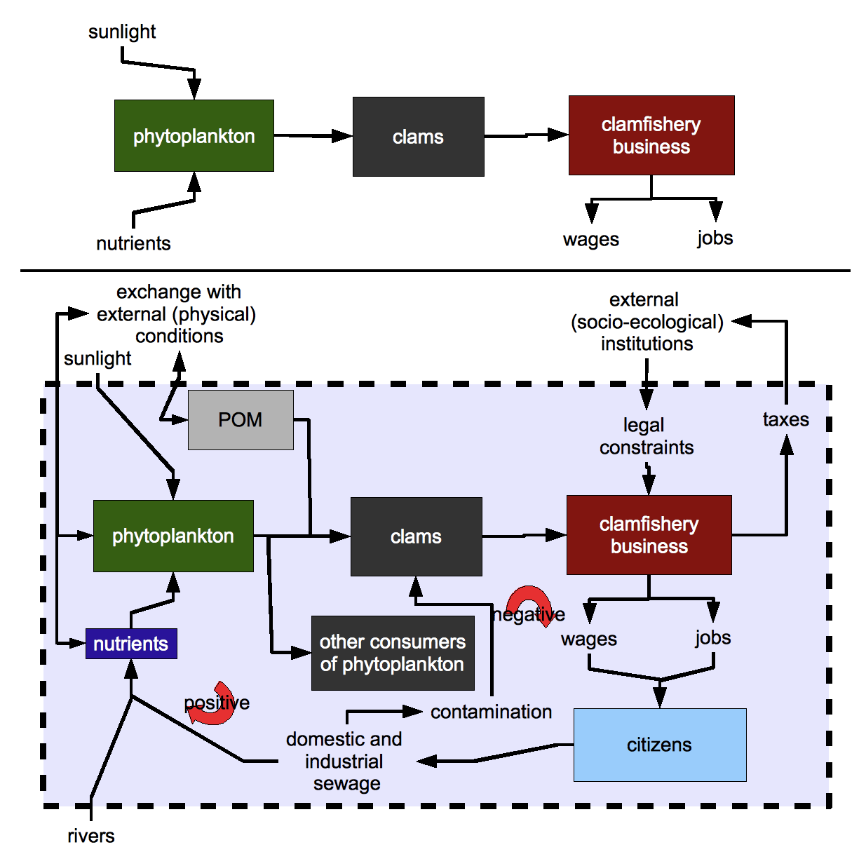 diagram showing simple, and more complex, conceptual models of the Lagoon of Venice phytoplankton-clam fishery system