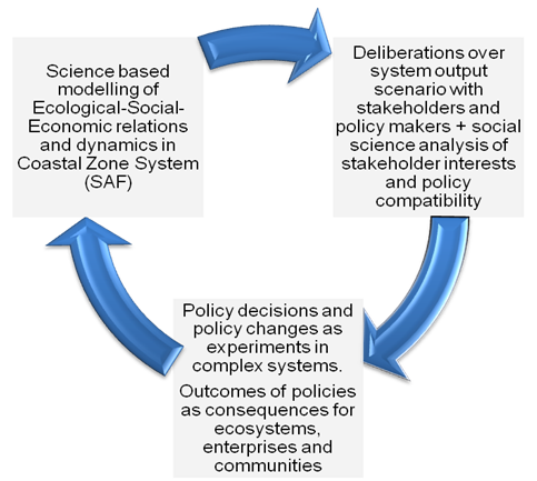 social system approach